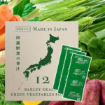 国産野菜の青汁 3g×40包入 12種類の国産野菜使用 ICSselection